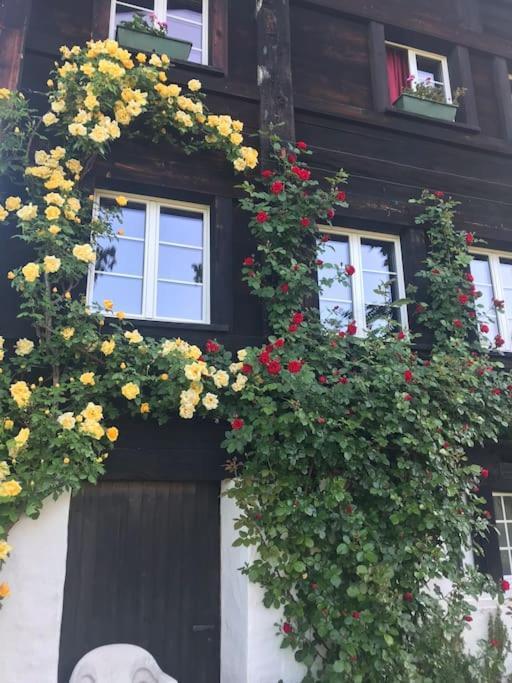 Charming Alps Apartment Perfect For Walk/Cycle/Ski Eschenbach Exterior foto